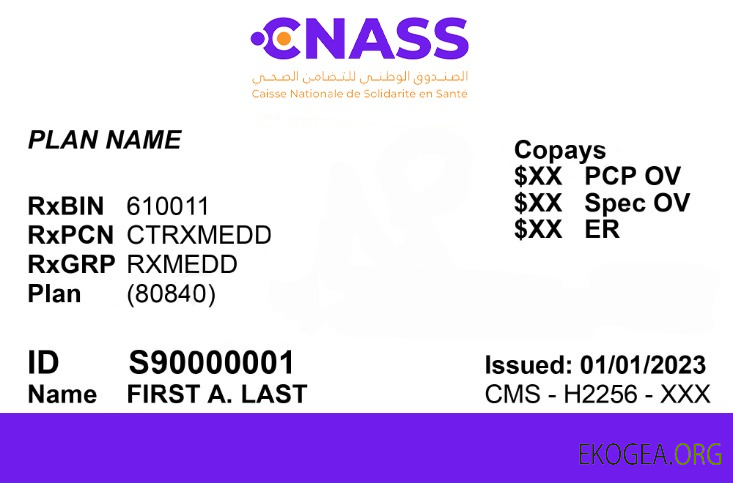 Carte d'assurance maladie de la Mauritanie